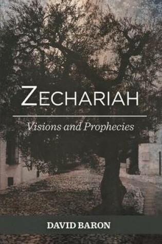 Cover of Zechariah: Visions and Prophets