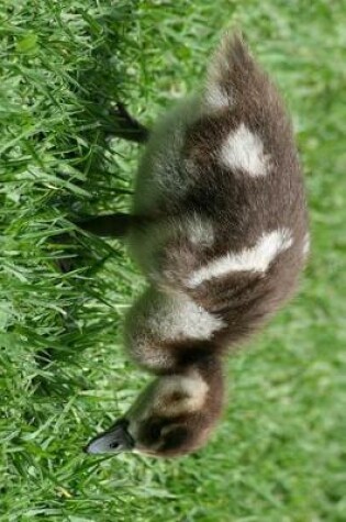 Cover of Egyptian Goose Gosling Journal