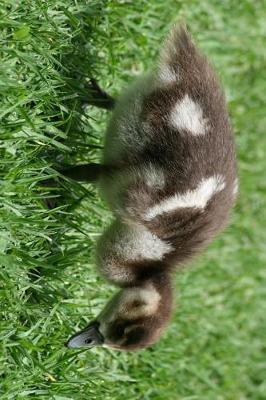 Book cover for Egyptian Goose Gosling Journal