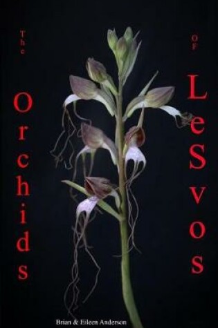 Cover of Orchids of Lesvos