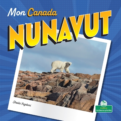 Book cover for Nunavut (Nunavut)