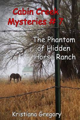 Book cover for The Phantom of Hidden Horse Ranch