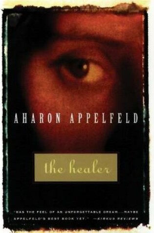 Cover of The Healer