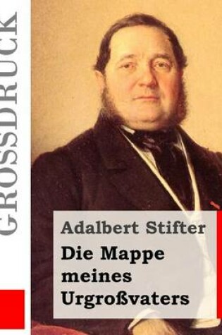 Cover of Die Mappe meines Urgroßvaters (Großdruck)