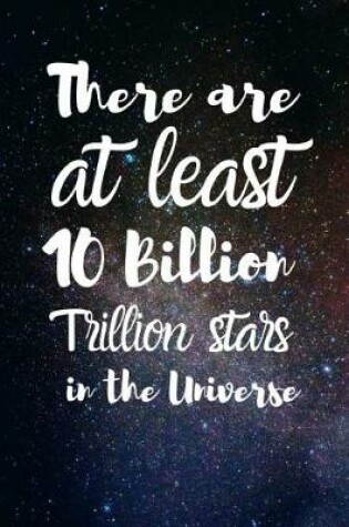 Cover of There Are At Least 10 Billion Trillion Stars In The Universe