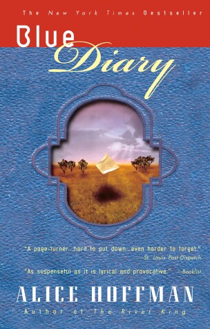 Book cover for Blue Diary
