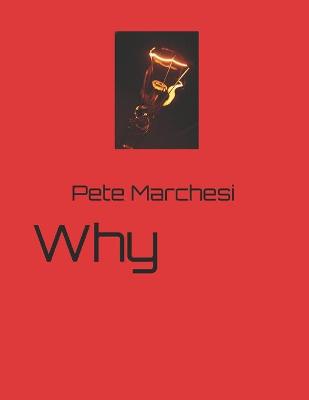 Book cover for Why