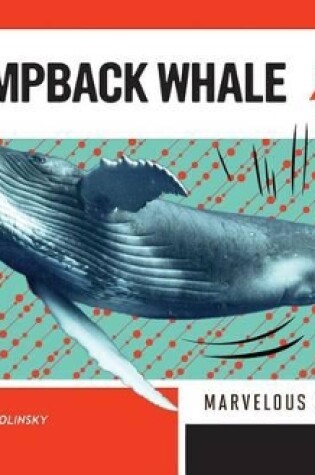 Cover of Humpback Whale: Marvelous Musician