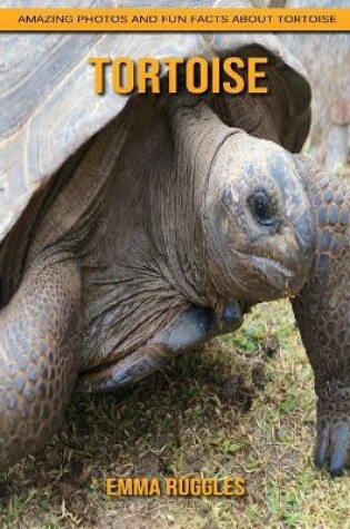 Cover of Tortoise