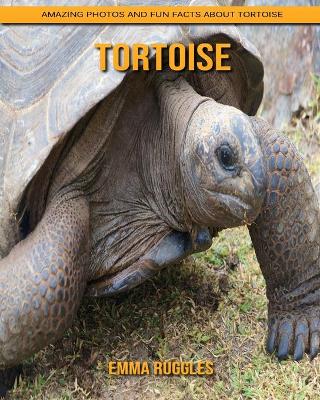 Book cover for Tortoise