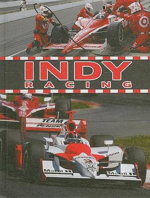 Book cover for Indy Racing