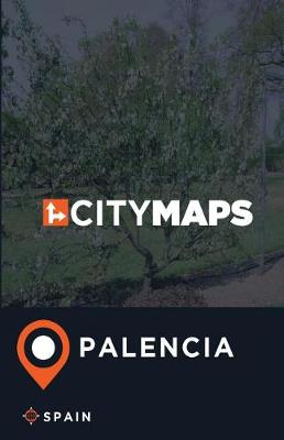 Book cover for City Maps Palencia Spain