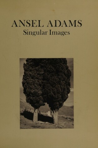 Cover of Singular Images