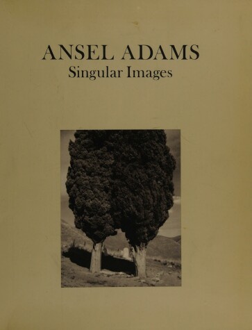 Book cover for Singular Images