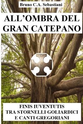 Book cover for All'ombra del Gran Catepano