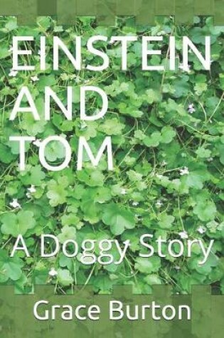 Cover of Einstein and Tom