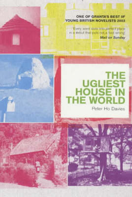 Book cover for Ugliest House in the World