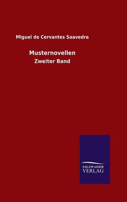 Book cover for Musternovellen