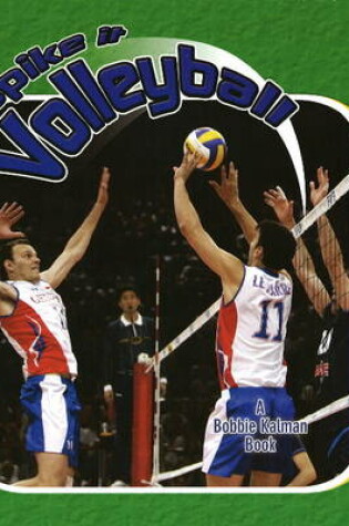 Cover of Spike it Volleyball