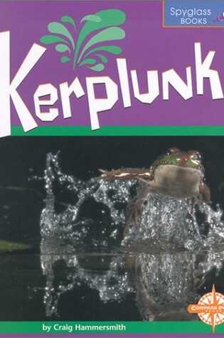 Cover of Kerplunk!