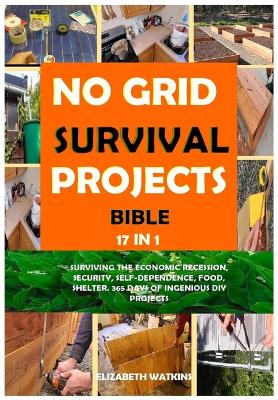 Book cover for No Grid Survival Projects Bible 17 in 1