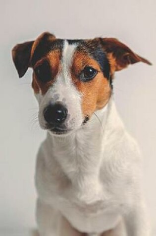 Cover of Jack Russell Lovers Journal