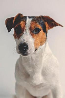 Book cover for Jack Russell Lovers Journal