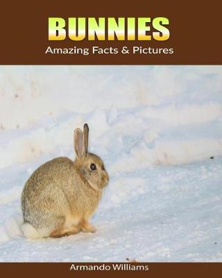 Book cover for Bunnies