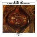 Book cover for Early Celtic Art (Paper Only)