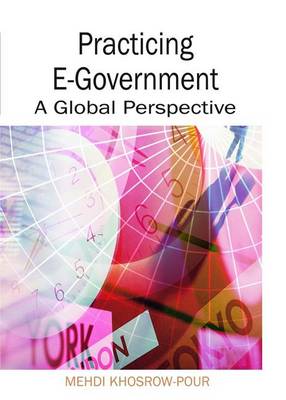 Book cover for Practicing E-Government