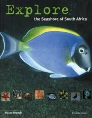 Book cover for Explore the Seashore of South Africa