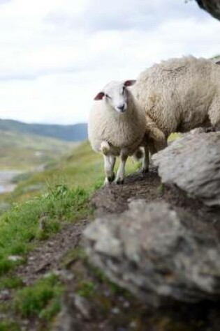 Cover of Sheep on a Rocky Cliff in Norway