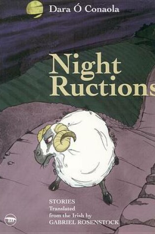 Cover of Night Ructions