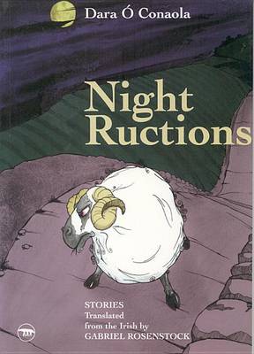 Book cover for Night Ructions