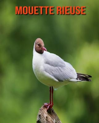 Book cover for Mouette Rieuse