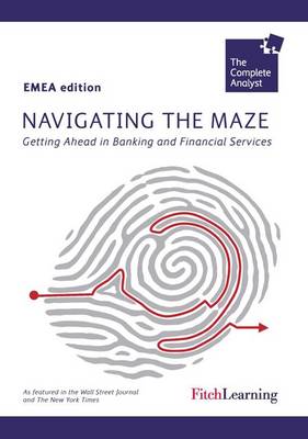 Book cover for Navigating the Maze (UK)