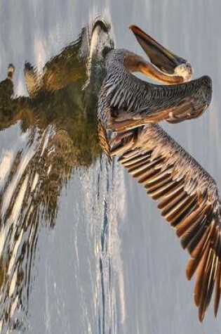 Cover of A Pelican on the Water in Florida, Birds of the World