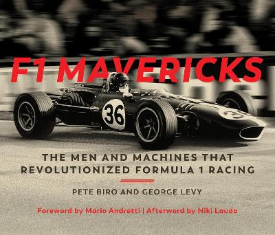 Book cover for F1 Mavericks