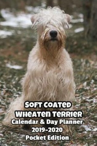 Cover of Soft Coated Wheaten Terrier Calendar & Day Planner 2019-2020 Pocket Edition