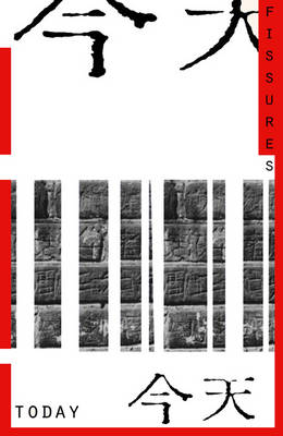 Cover of Fissures