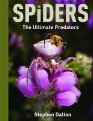 Book cover for Spiders: the Ultimate Predators