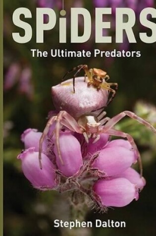 Cover of Spiders: the Ultimate Predators