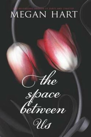 Cover of Space Between Us