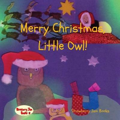 Book cover for Merry Christmas, Little Owl!