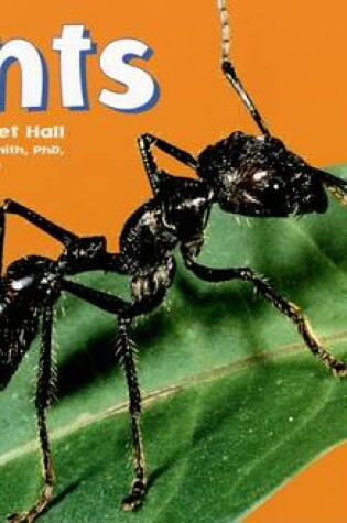 Cover of Ants