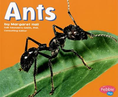 Cover of Ants