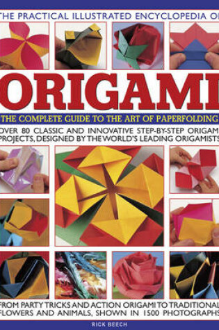 Cover of Practical Illustrated Encyclopedia of Origami