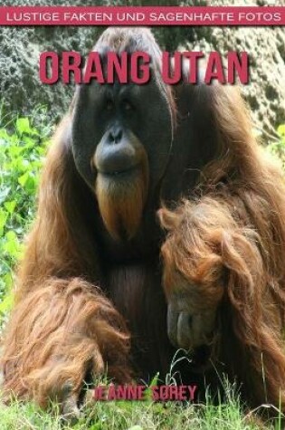 Cover of Orang Utan