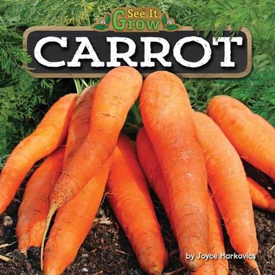 Book cover for Carrot