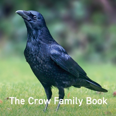 Book cover for Crow Family Book, The